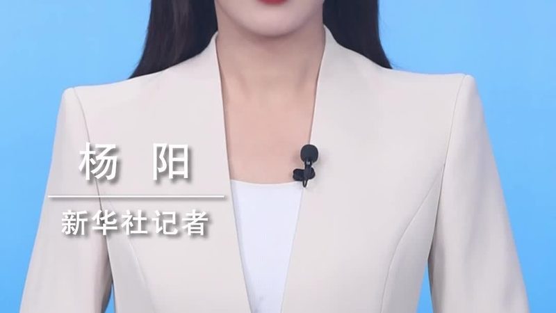 数字化解决方案与传统方案的较量：性能与架构的差异化解析